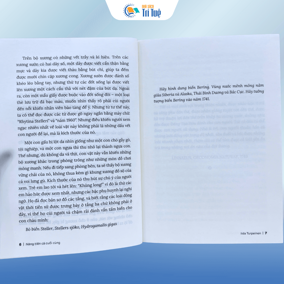 Sách: Nàng Tiên Cá Cuối Cùng