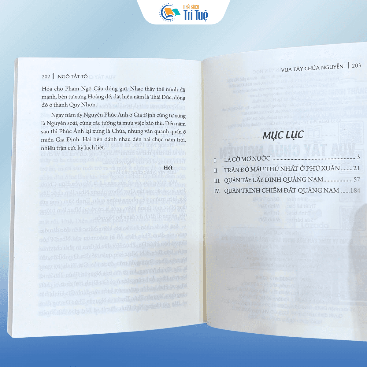 Sách: Vua Tây Chúa Nguyễn - NXB Văn Học