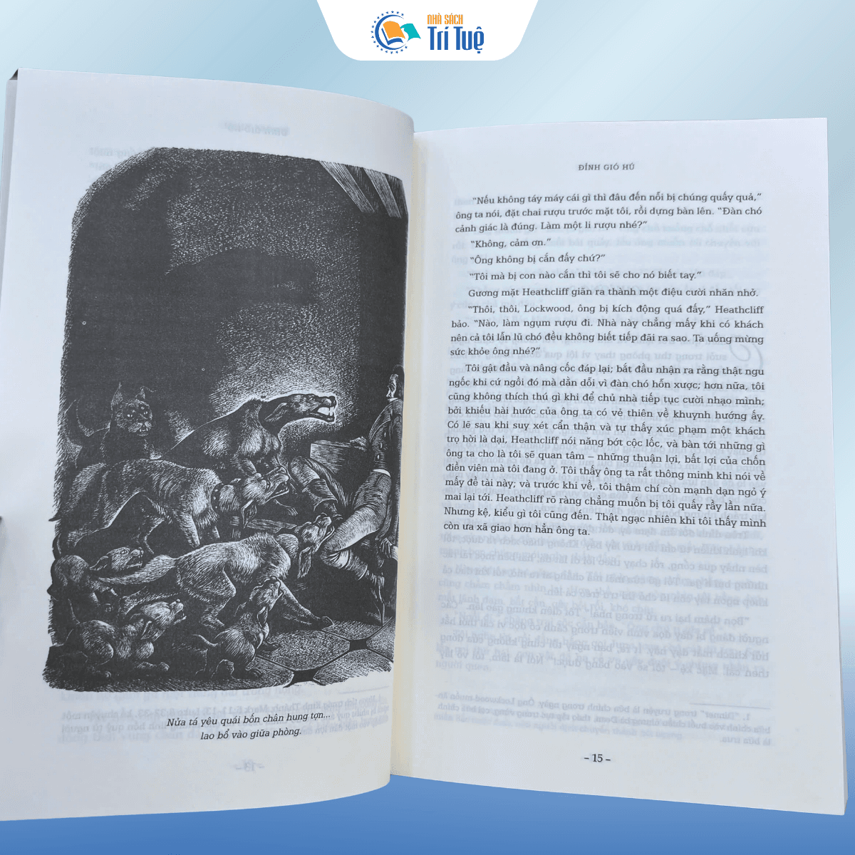 Sách: Đỉnh Gió Hú