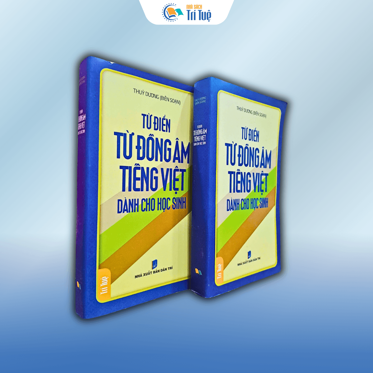 Sách: Từ Điển Từ Đồng Âm Tiếng Việt Dành Cho Học Sinh