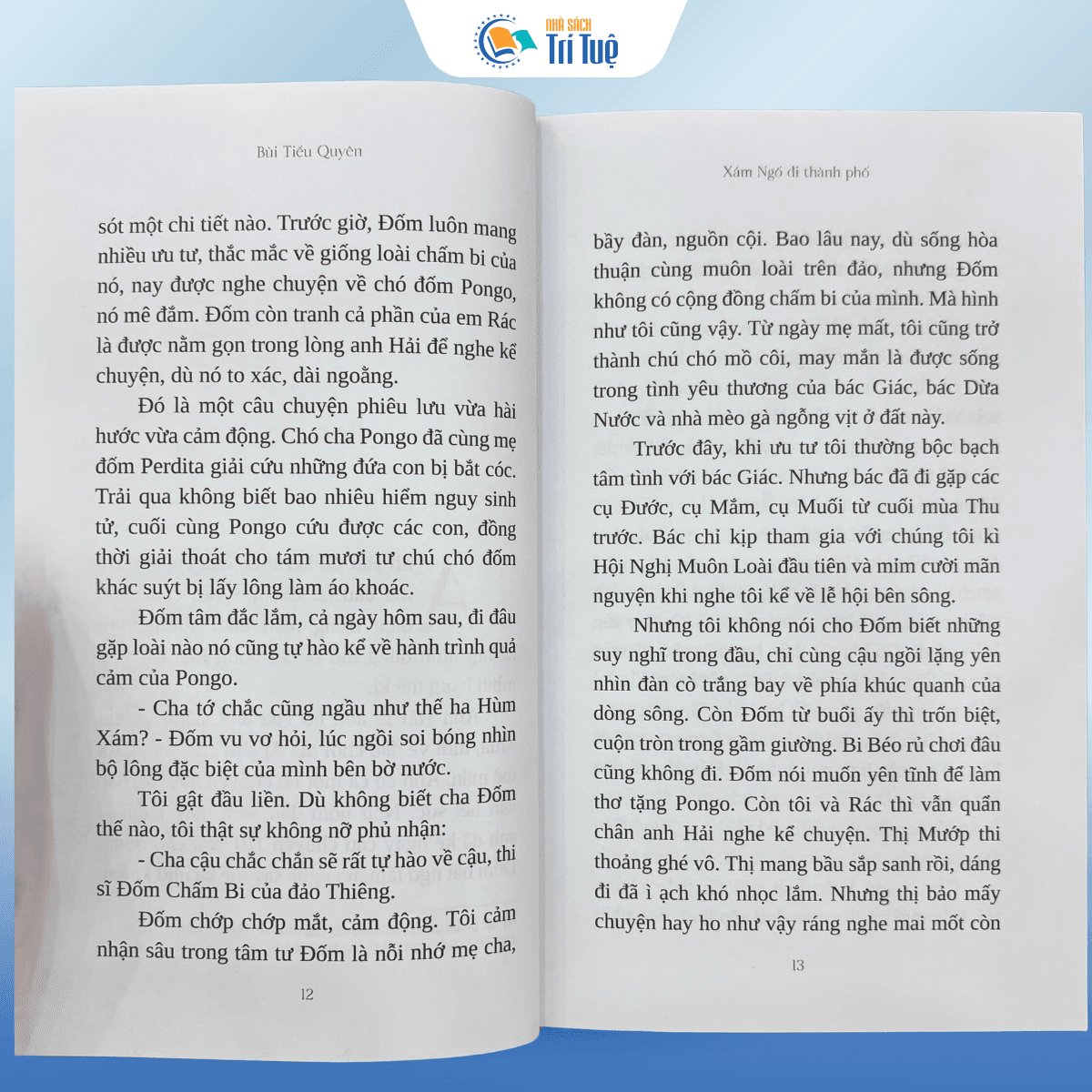 Xám Ngố Đi Thành Phố