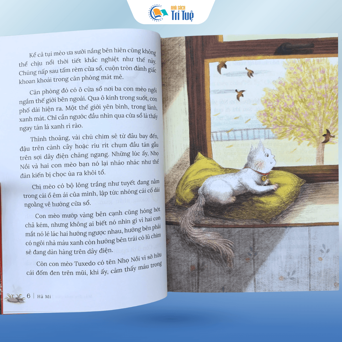 Mái Ấm Mới Của Hạt Dẻ