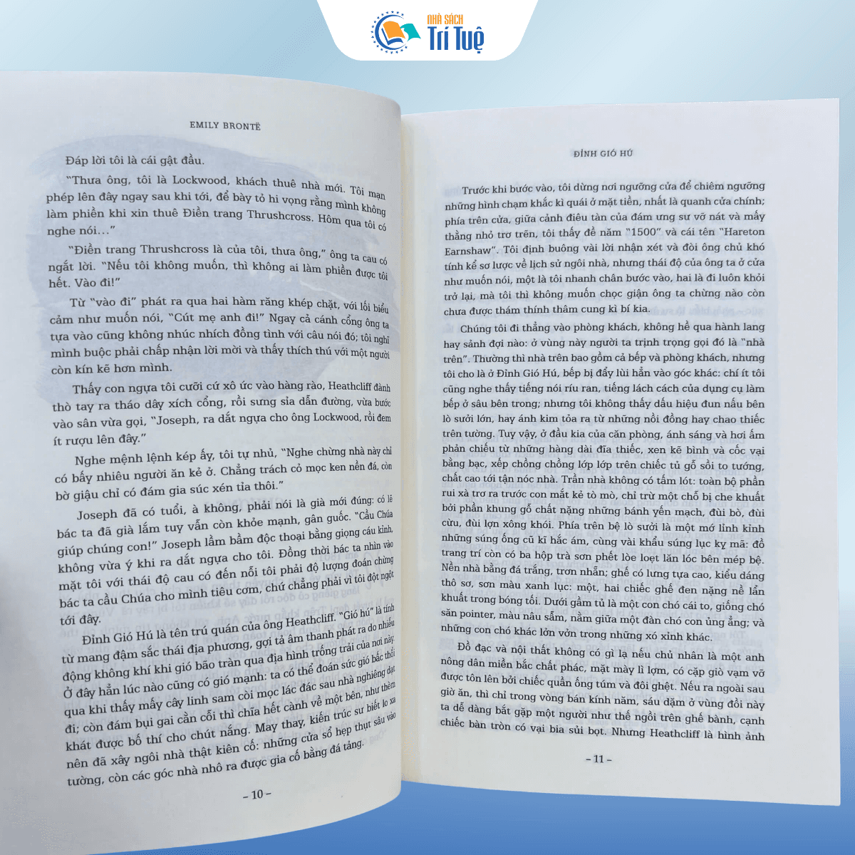 Sách: Đỉnh Gió Hú