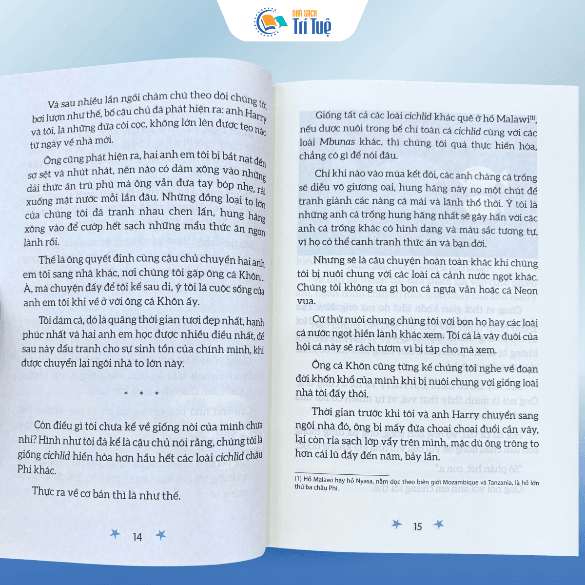 Cuộc Phiêu Lưu Của Bella Và Harry