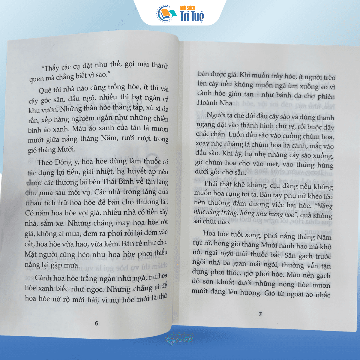 Về Nghe Hoa Hòe Kể Chuyện - Viết Cho Những Điều Bé Nhỏ
