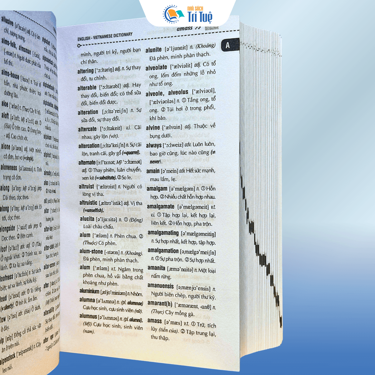 Từ điển Anh - Việt 300.000 mục từ và định nghĩa - Bìa cứng