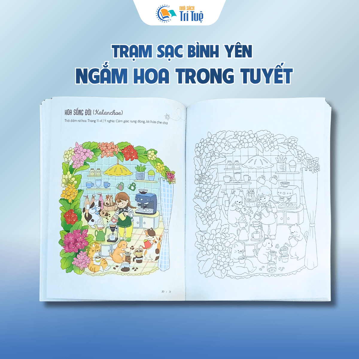 Ngắm hoa trong tuyết