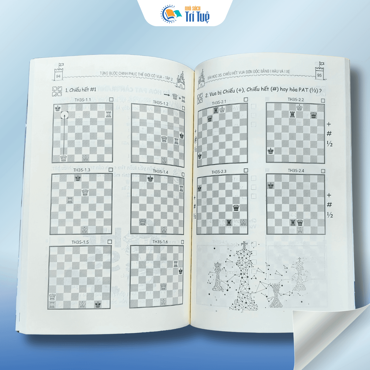 Từng bước chinh thục thế giới cờ vua tập 2 - Tổng quan