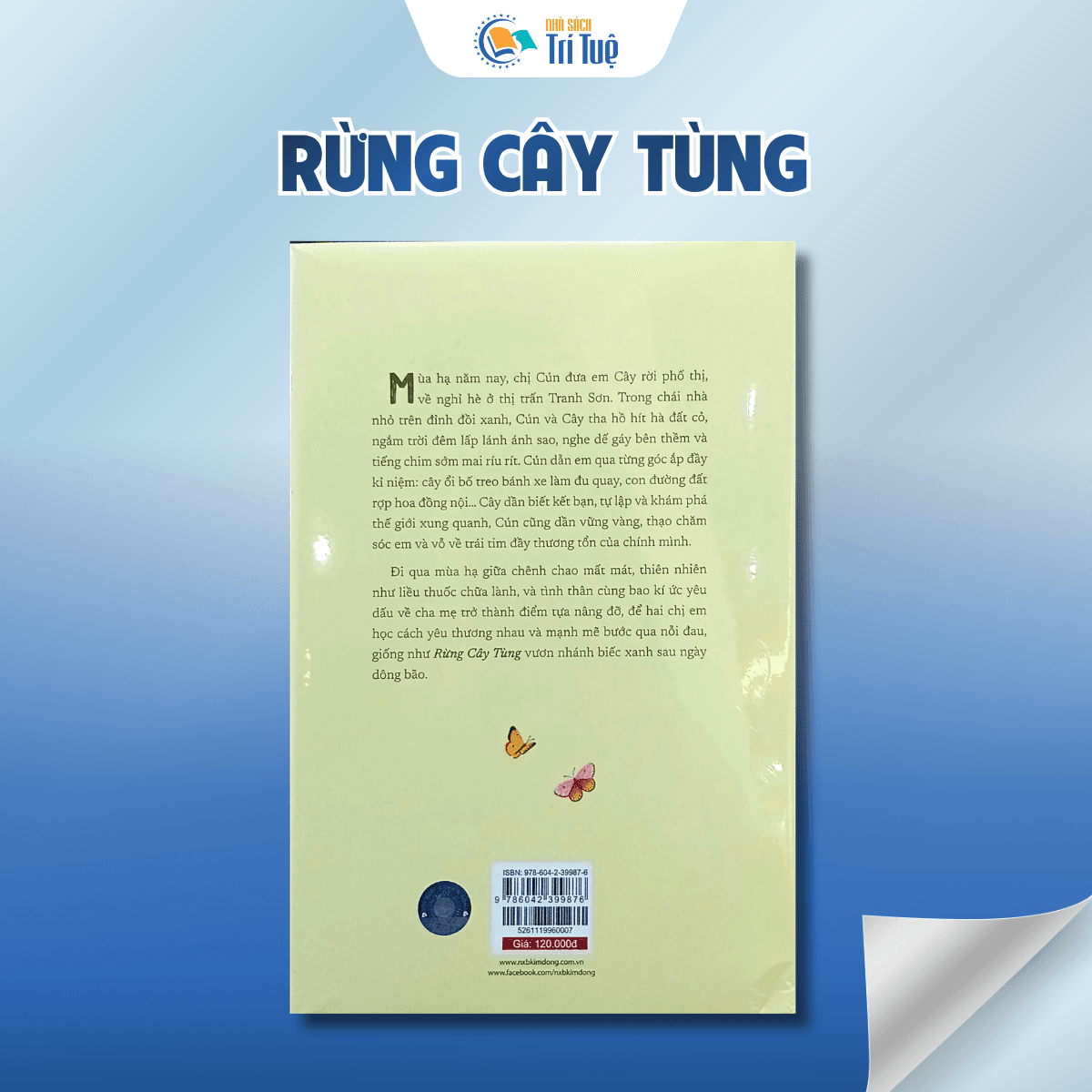 Rừng cây tùng