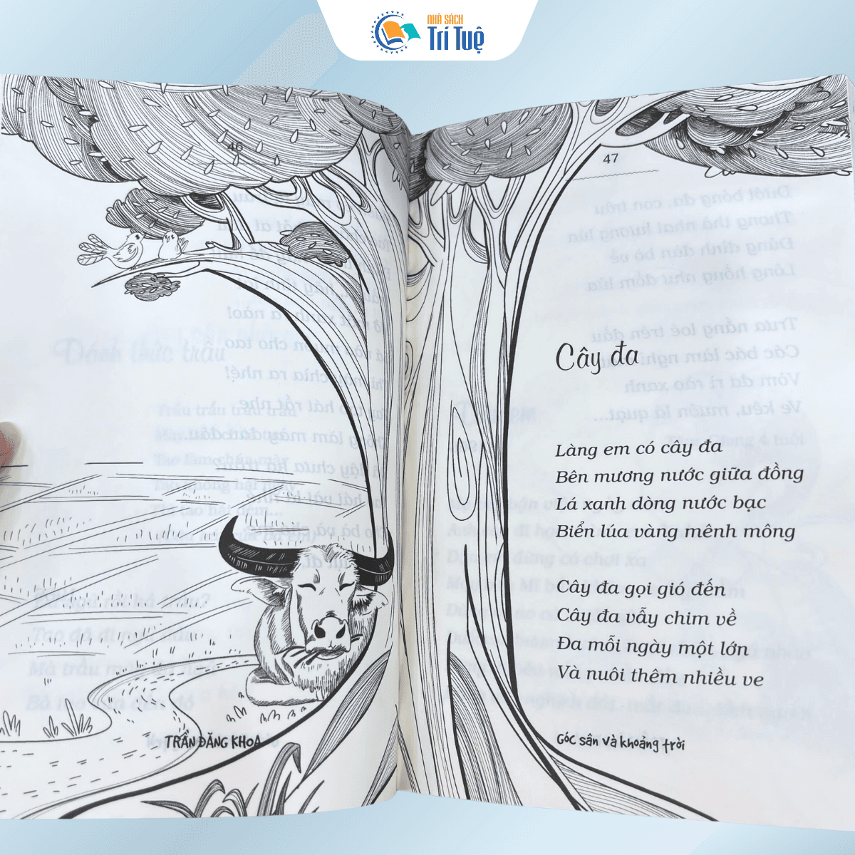 Góc Sân Và Khoảng Trời - Tinh Tuyển