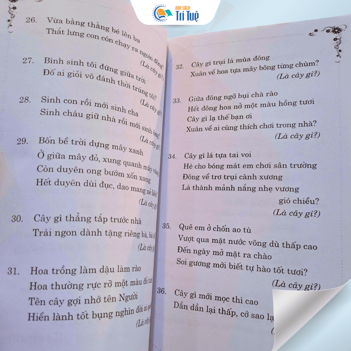 333 Câu Đố Luyện Trí Thông Minh