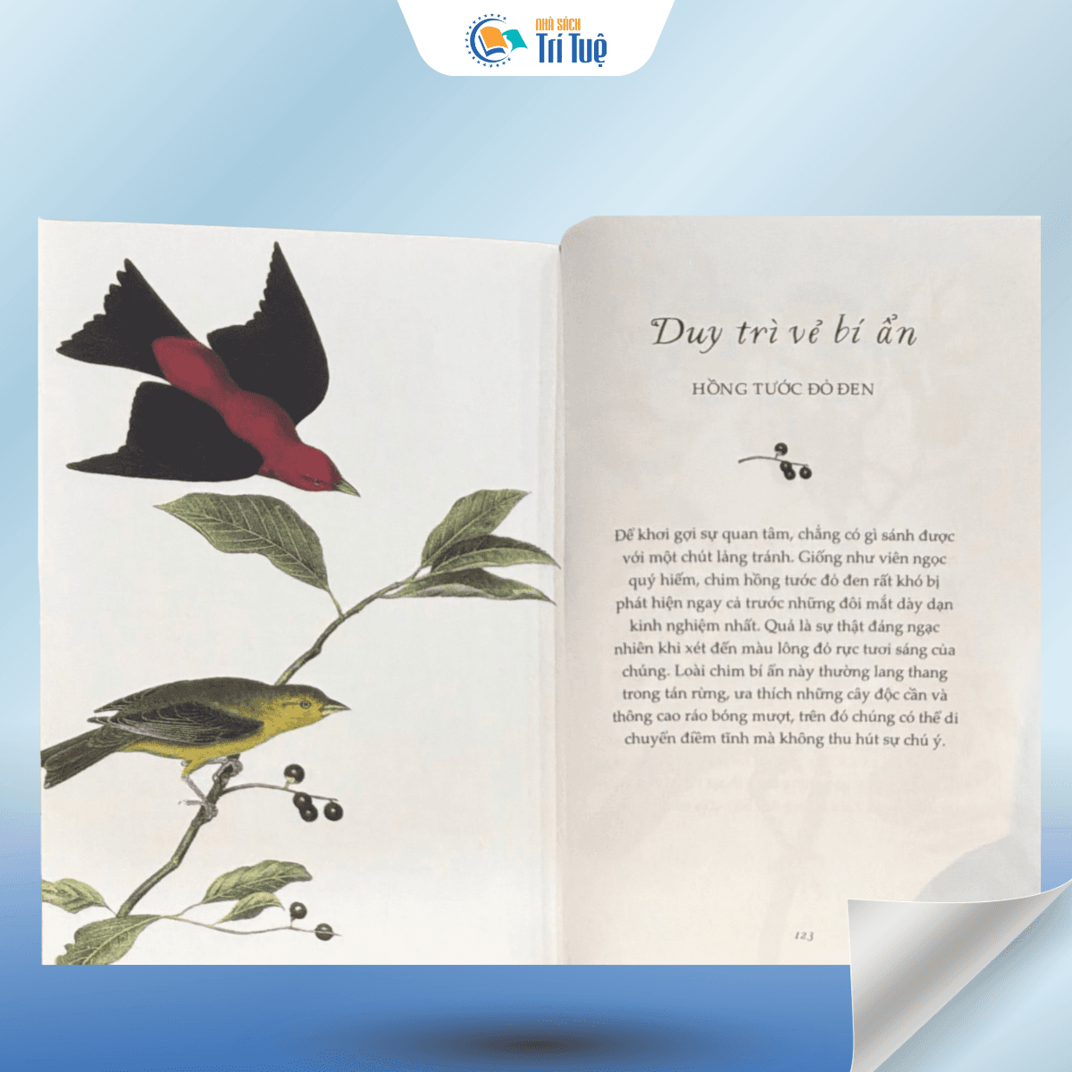 Sách: Sải Cánh Như Những Chú Chim