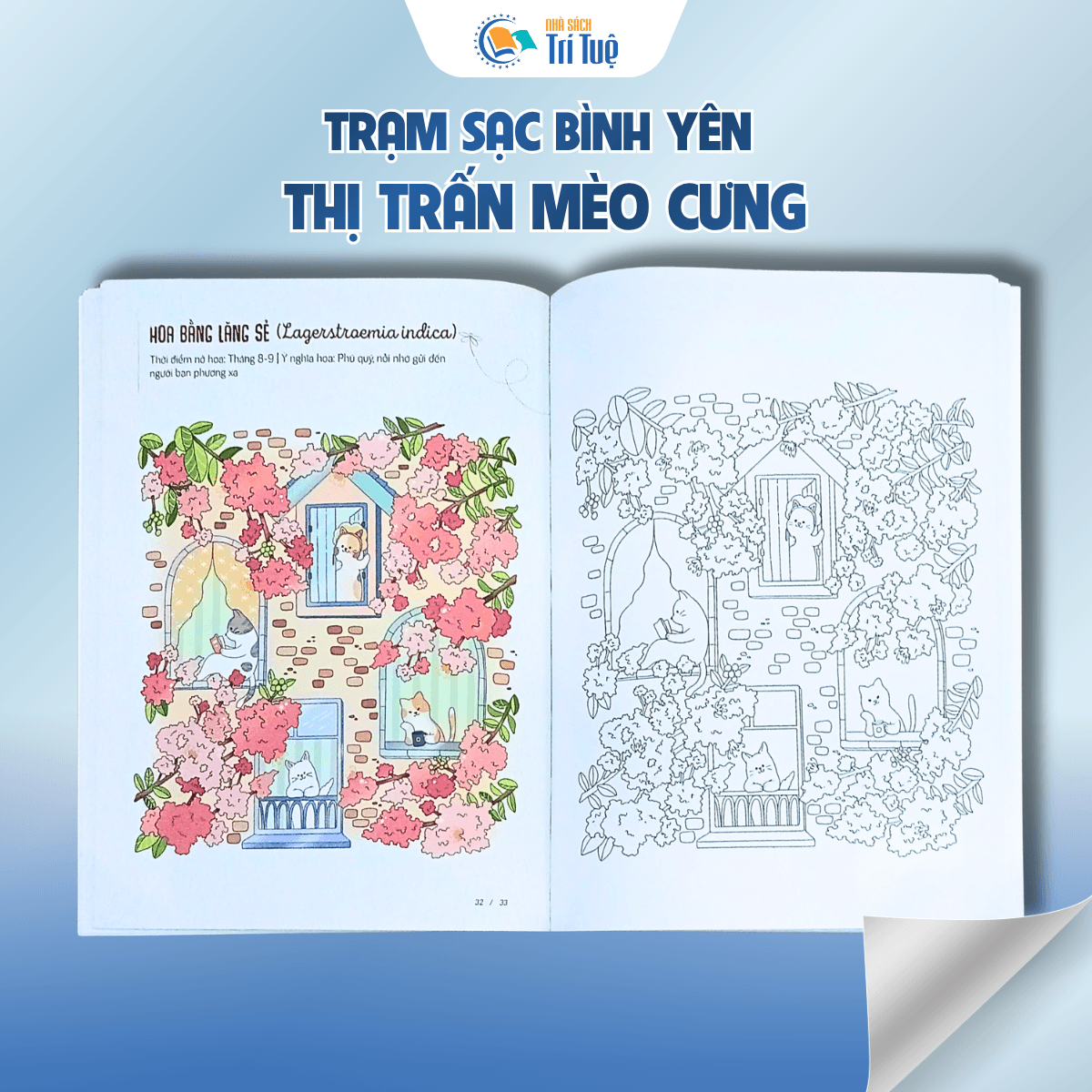 Thị trấn mèo cưng