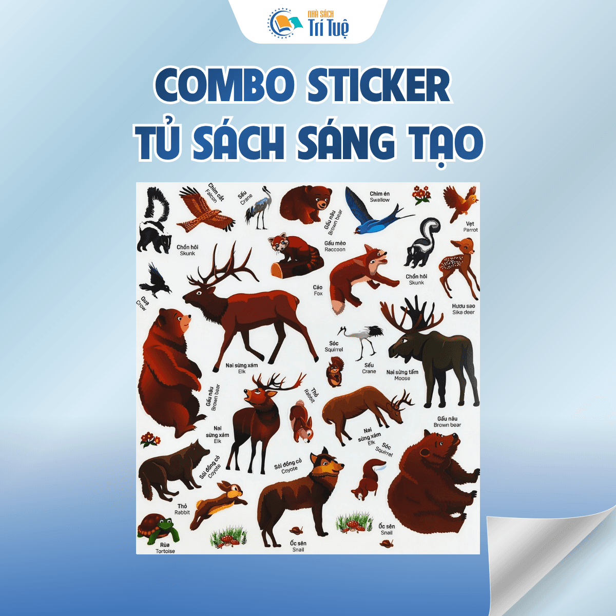 Combo sticker tủ sách sáng tạo - bóc dán sử dụng nhiều lần
( 5 cuốn )