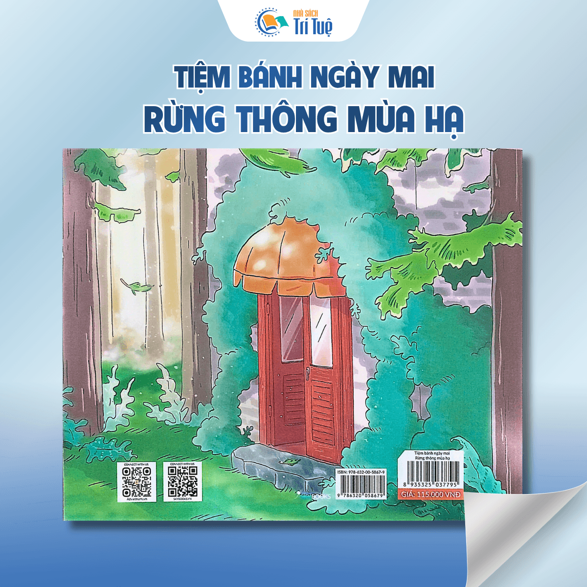 Rừng thông mùa hạ