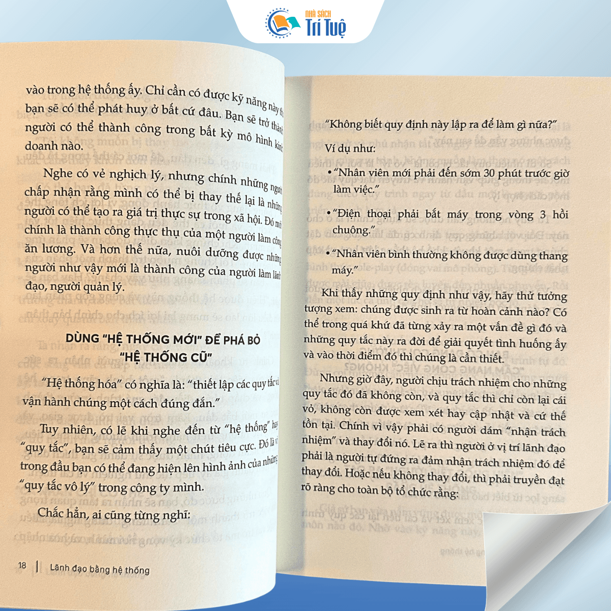 Lãnh Đạo Bằng Hệ Thống - Khi Hệ Thống Thay Bạn Điều Hành Mọi Thứ