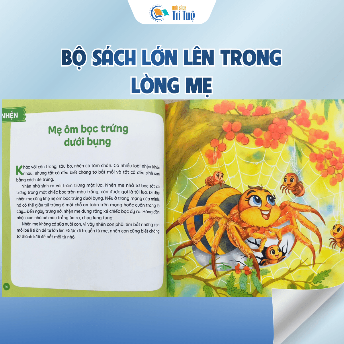 Combo Sách lớn lên trong lòng mẹ ( 2 cuốn )