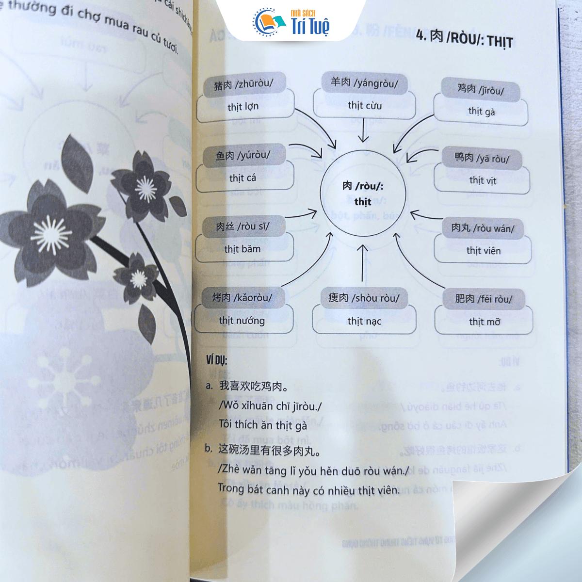 Luyện Nhớ 2000 Từ Vựng Tiếng Trung Thông Dụng