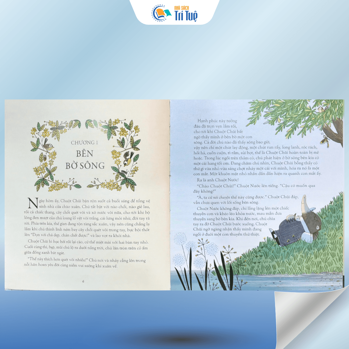 Gió Đùa Trong Liễu - IIIustrated Special Editions