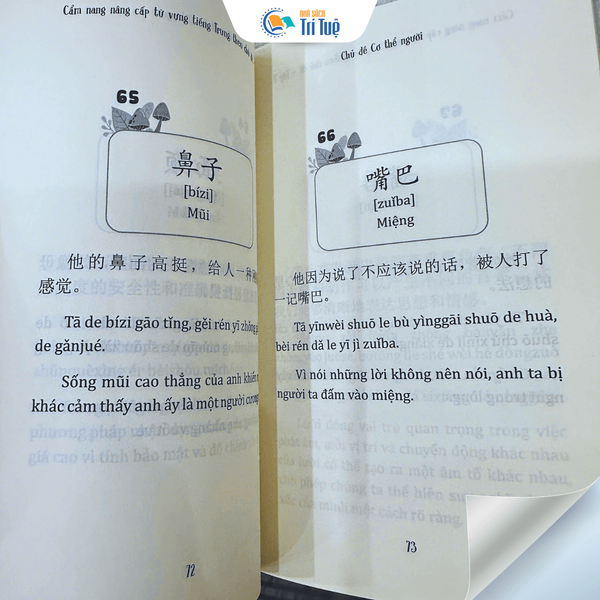 Cẩm Nang Nâng Cấp Từ Cựng Tiếng Trung Theo Chủ Đề - Tập 2