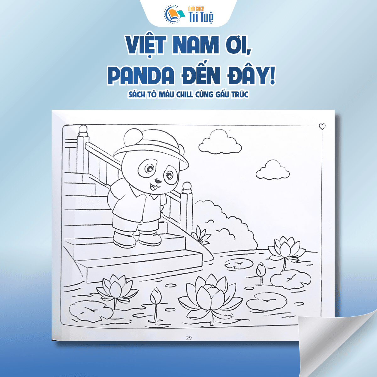 Việt Nam ơi, panda tới đây