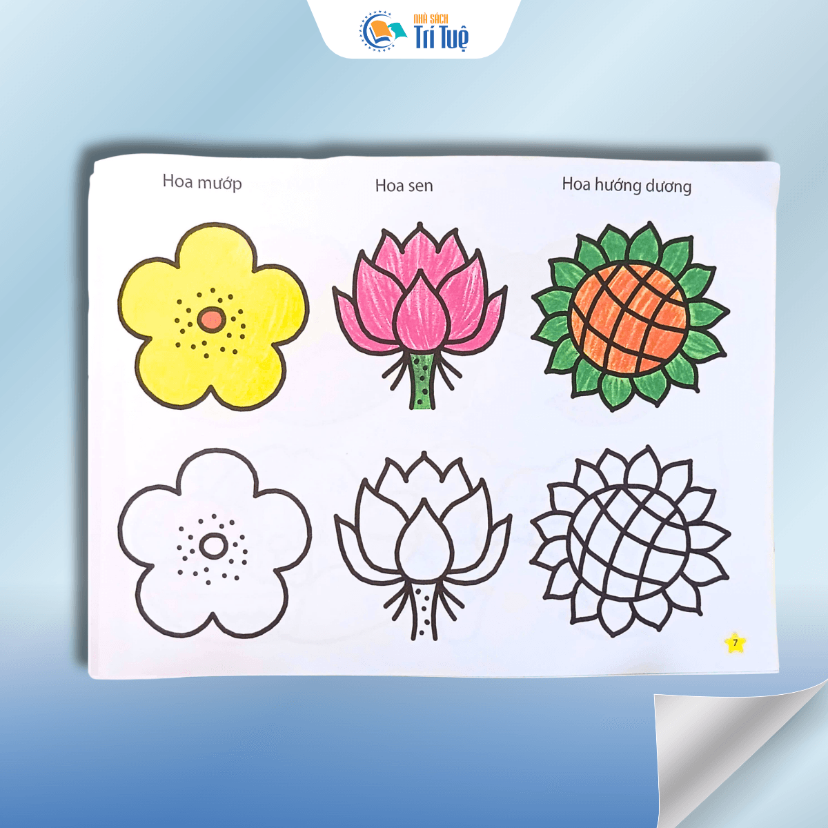 Bàn tay bé vẽ - các loài hoa