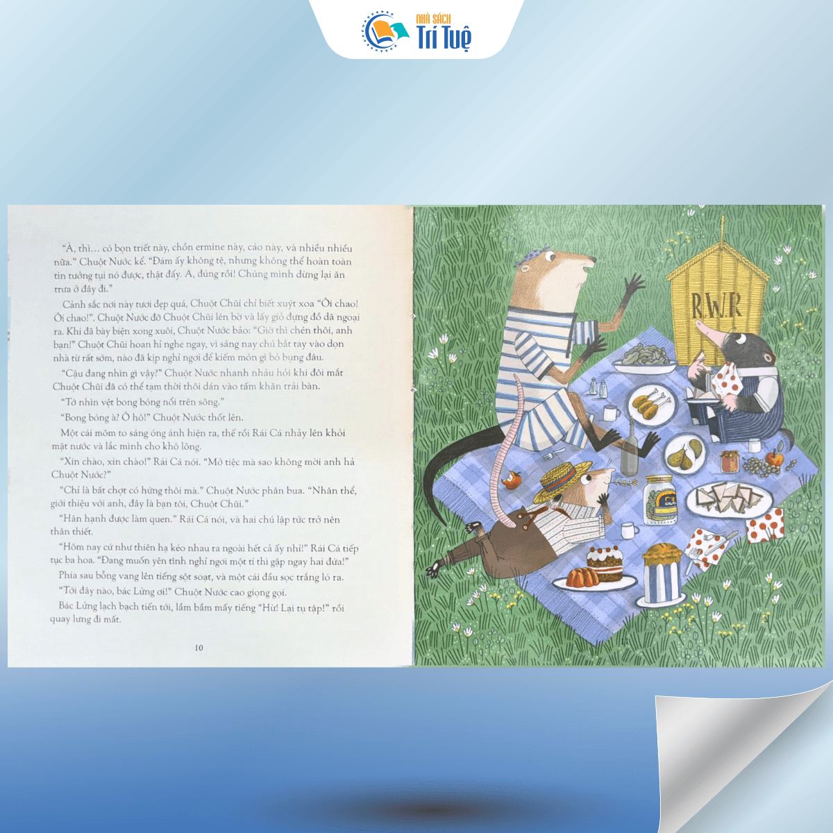 Gió Đùa Trong Liễu - IIIustrated Special Editions