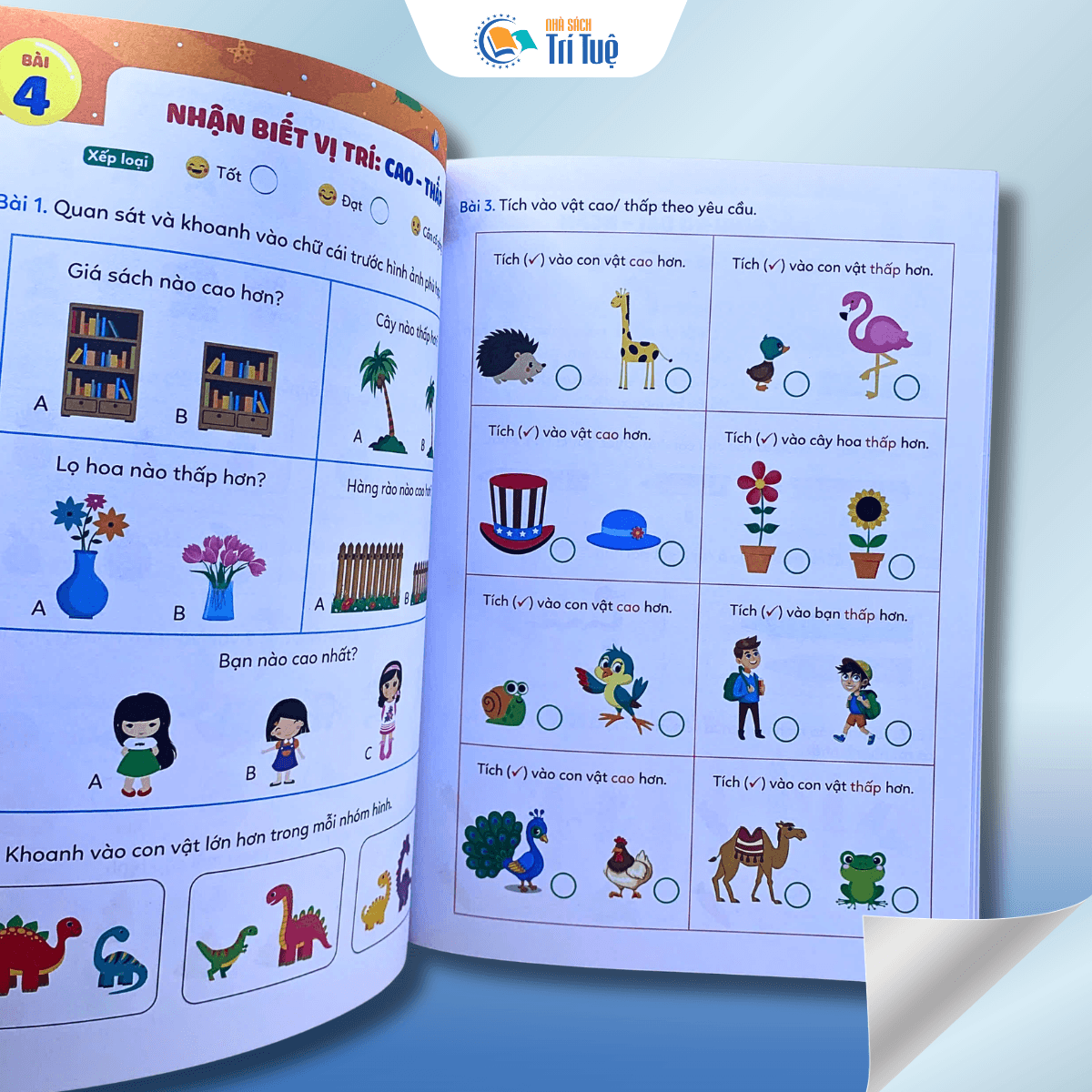 Phiếu Luyện Toán Tư Duy Cùng Gấu KiKi 3 - Xác Định Vị Trí Các Dạng Toán Quy Luật