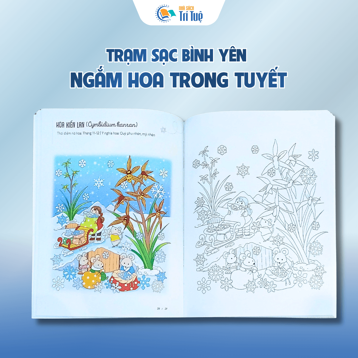 Ngắm hoa trong tuyết