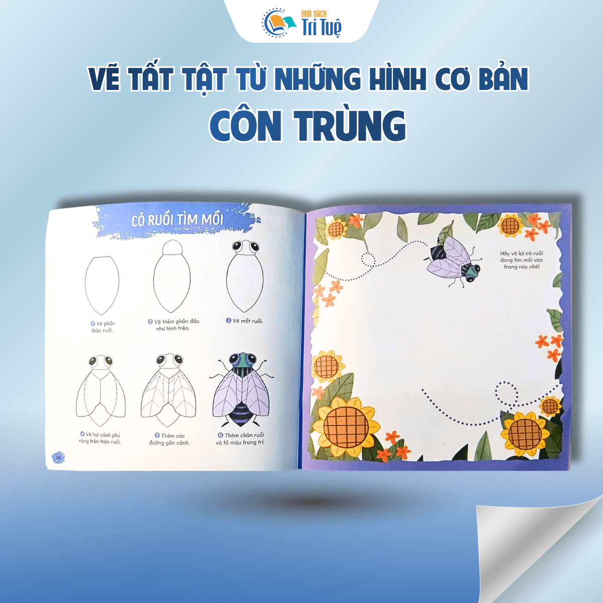 Côn trùng - Vẽ tất tật từ những hình cơ bản